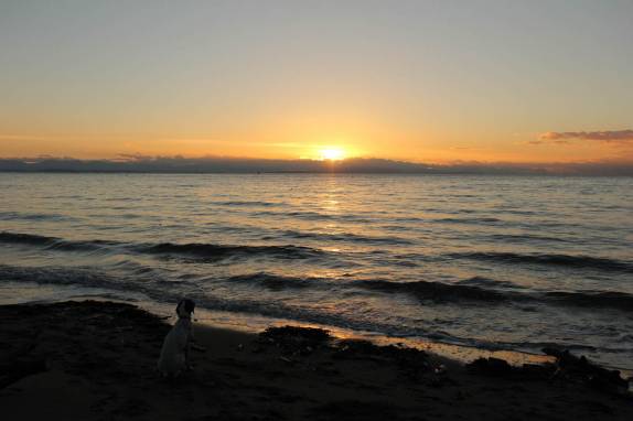 Até o cachorro admira o pôr-do-sol na Wreck Beach, em Vancouver, no Canadá (foto da expedição 4x1 - Retratos da América)
